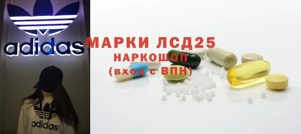 spice Богданович