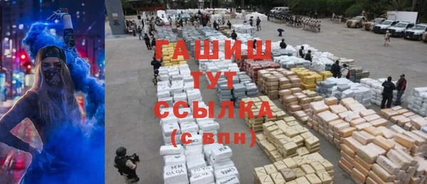 spice Богданович