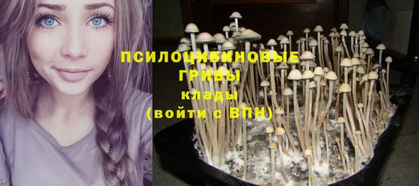 spice Богданович