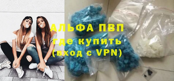 spice Богданович
