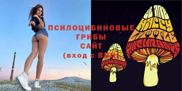 бошки Богородск